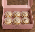 Society Minis - 6 Pack